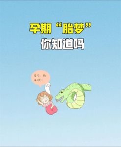 三胎政策背后的挑战与机遇：家庭生活新转变