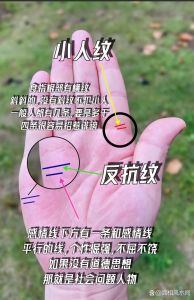 条纹心理密码：条纹控女孩的秘密世界