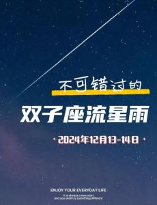 2024双子座全面绽放：社交职场学业考试大丰收！