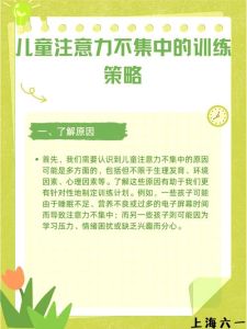 提升孩子专注力：5招助孩子高效学习成长