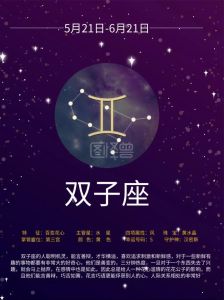 双子座富贵时辰子丑时运，智慧成就传奇