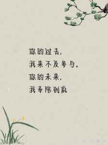 温暖情话集结：勇敢表白，触动心弦的真挚时刻