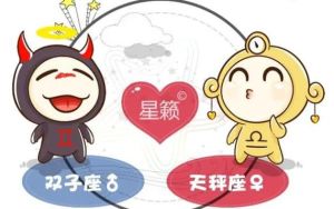 哪位星座女能俘获双子男的心？