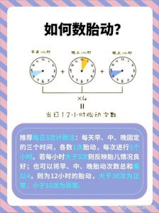女人胎动梦解析：好运与未来预示探秘