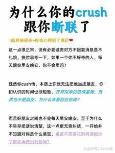 断联复合攻略：四大关键步骤