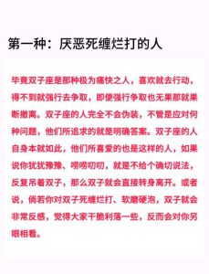 双子座爱情谜题：骂声中的情感密码解析