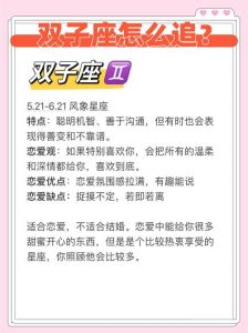 双子座谈判智慧：沟通艺术与策略解析