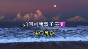 双子座男人脾气之谜：相处之道全解析