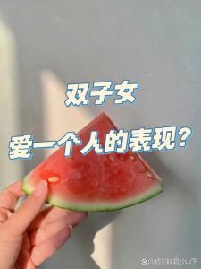 双子座：多变魅力与职场风采