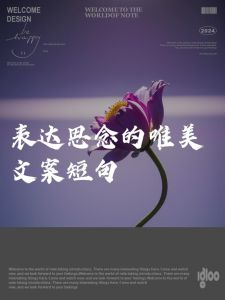 穿越时空的思念文案，情感纽带的力量
