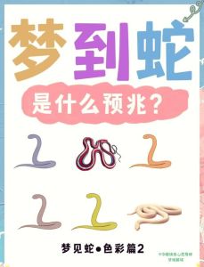 解梦梦境女性象征的深层含义