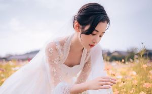 保守女性婚姻困境：与跨越之道