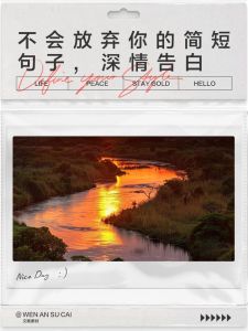 女生表白放弃深层原因解析：成熟与爱的抉择