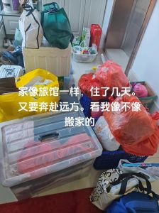 春节搬家：年前还是年后？传统与现代的智慧抉择