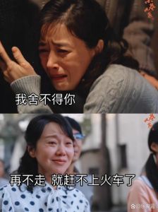 解码你像亲人一样：女性心理情感