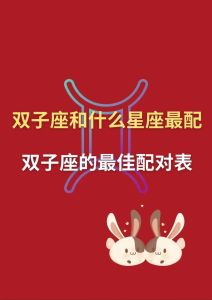 哪些星座吸引双子座，追求技巧大！