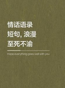 高级文案情话：浪漫深情的爱情诗篇
