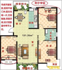 吉祥风水户型：布局与美学融合之道