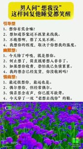你想我了吗？背后的情感密码及高情商回应技巧