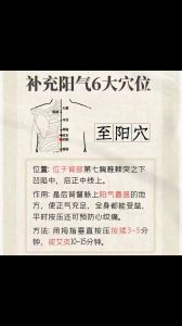 阳气旺家居法：打造活力阳光好家秘诀