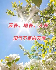家宅阳气提升法：打造正能量风水家居秘诀