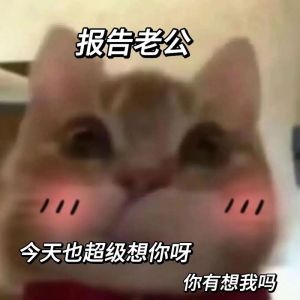 回应‘想我了吗’的甜蜜技巧：幽默高情商互动指南