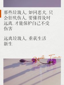 断舍离：轻松生活，开启高级生活之旅