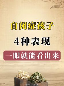 自闭症幼儿：独特世界与支持桥梁