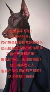 逆天改命：传奇背后的风险与必备条件