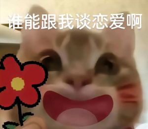 突发找伴侣念头：爱情寻路指南