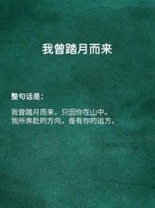 内敛艺术：低调中的高级美感