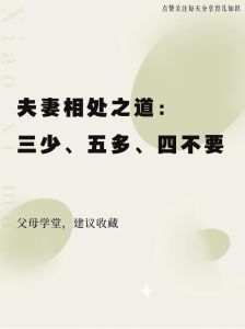 夫妻相处七大原则：构建幸福和谐婚姻的艺术
