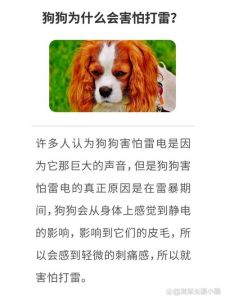 害怕成因：生理心理机制与克服恐惧策略