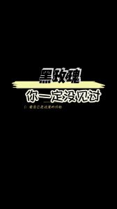 黑色爱情密码：色彩中的情感奥秘