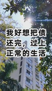 走出负债困境：心态调整与行动策略