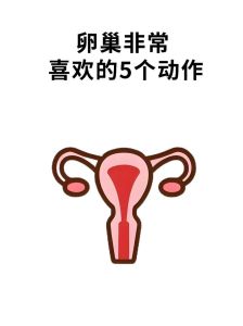 女人水多之谜与卵巢功能关联