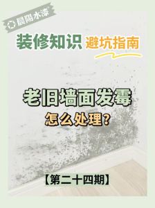 南方潮湿卧室墙霉解决攻略，告别家居烦恼！