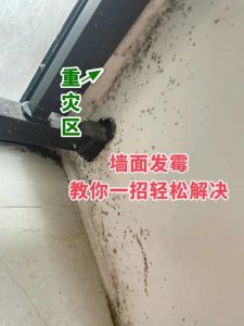 现代生活疲惫原因解析与应对策略