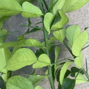 乔迁新居洗澡之谜：好运还是霉运？