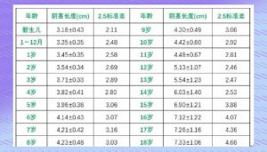 20cm阴茎长度勃起正常，性福关键在沟通！