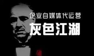 灰色行业：利润与风险并存的秘密世界