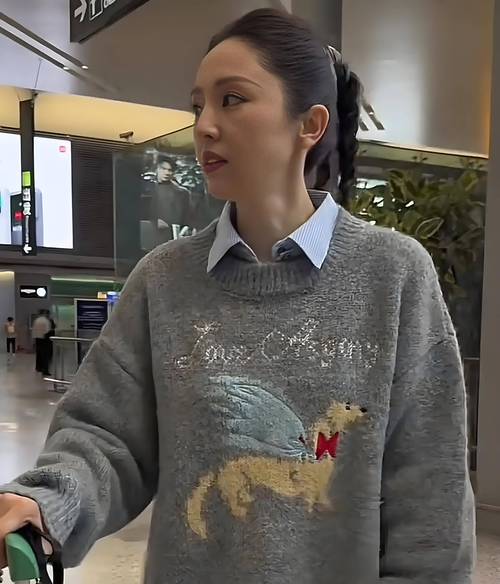 董璇被老公拥抱挡肚子，网友猜测怀孕，妈妈支持要二胎