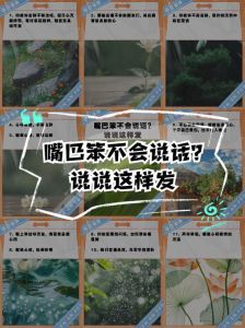 性格内向嘴笨不会说话，内向有力量，安静也精彩