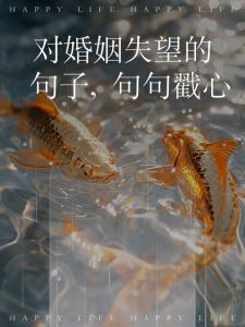 对婚姻彻底失望特别想离婚，婚姻疲惫想离婚？先冷静！