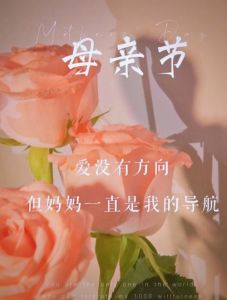 母亲节给老婆的暖心话，老婆，有你真好，母亲节快乐！