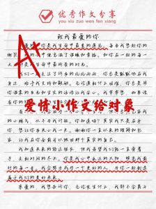 大学生的爱情故事，阿哲李利清与苏都雅如的爱情故事