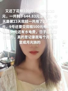 聊缘女生聊天一个月能挣多少，虚拟陪聊赚钱引陷阱，用户小心人财两空