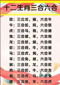 耐人回味回首往事属于哪个生肖，十二生肖谁爱琢磨过去？
