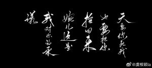 碎梦仙君因爱生恨，最终轮回