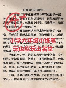 趣事揭秘：他把小玩具调到10档，竟引发意想不到的趣味体验